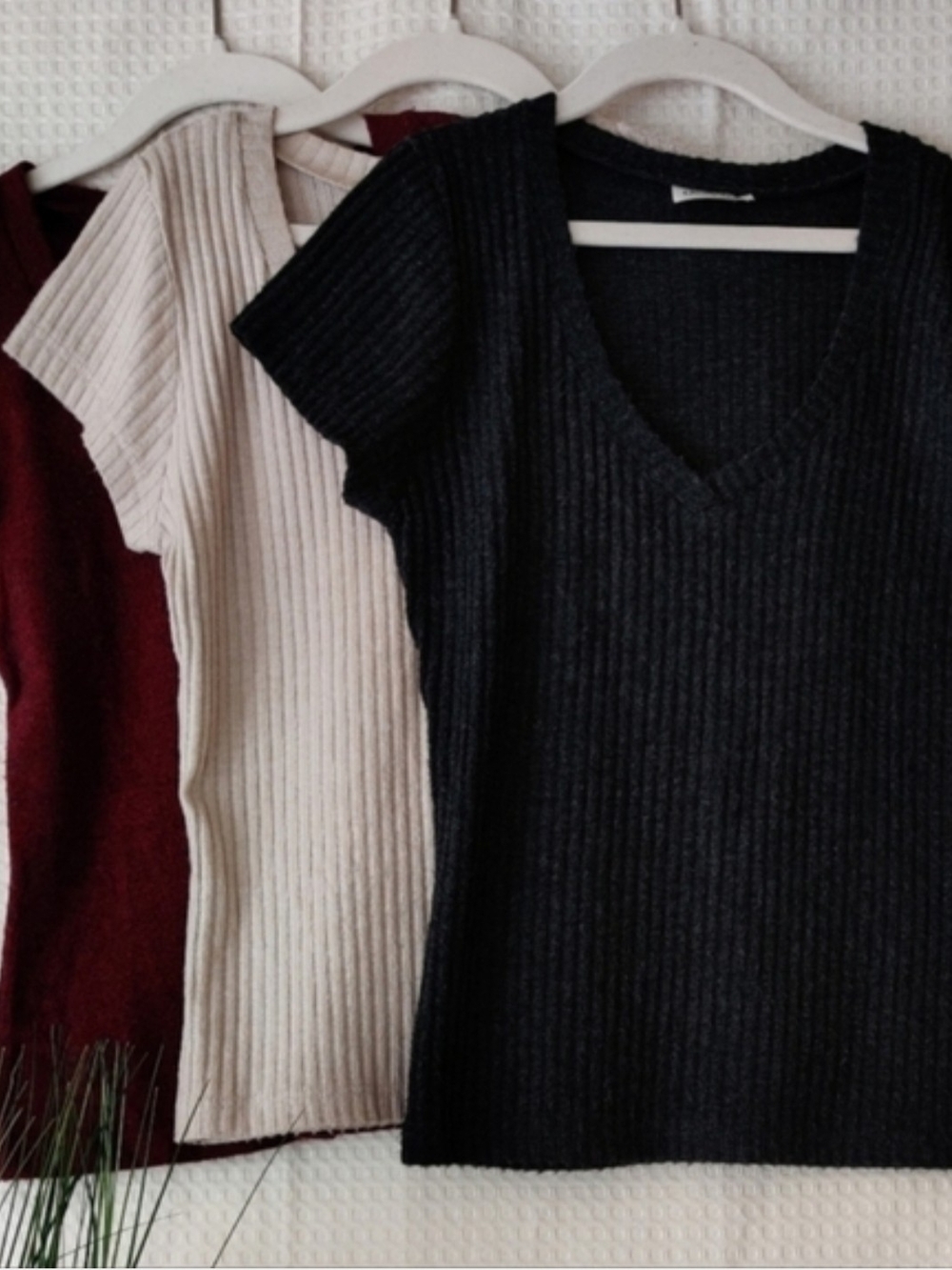 Charlotte Rouse Ribbed knit Short Sleeve Tops, Burgundy, Cream, D. Gray Med.(jr)